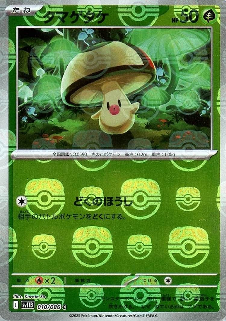 ブラックボルト《タマゲタケ》MM