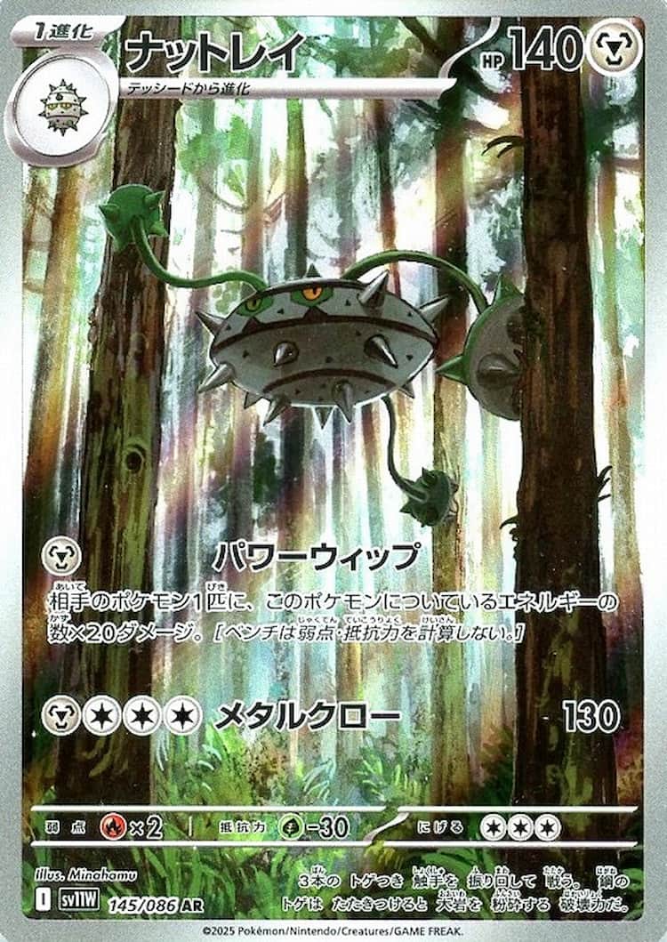 ホワイトフレア《ナットレイ》AR
