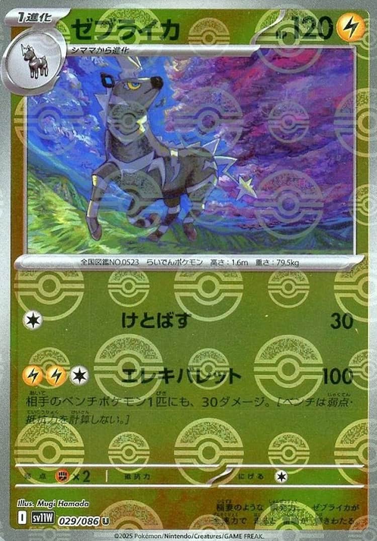 ホワイトフレア《ゼブライカ》M